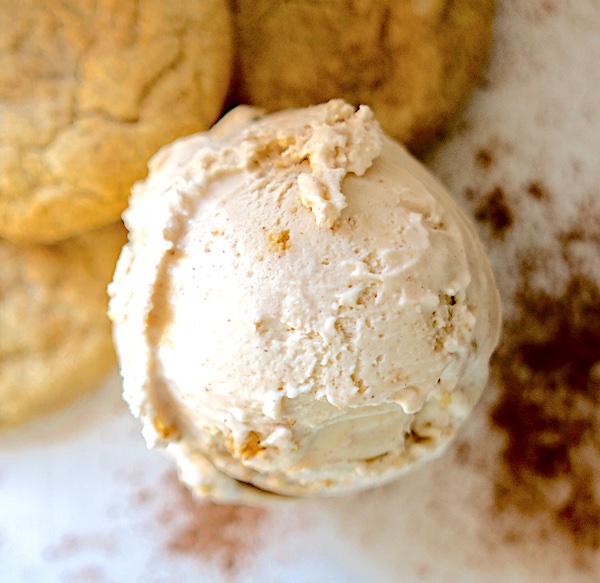 Cinnamon Snickerdoodle Ice Cream