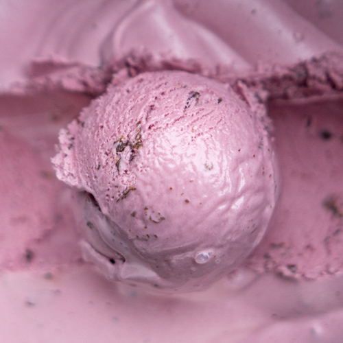 Blackberry Chip ice cream Love Creamery Duluth MN Superior WI Ice Cream