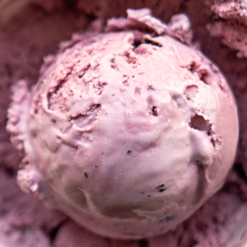 Blackberry Chip ice cream from Love Creamery in Duluth MN Superior WI